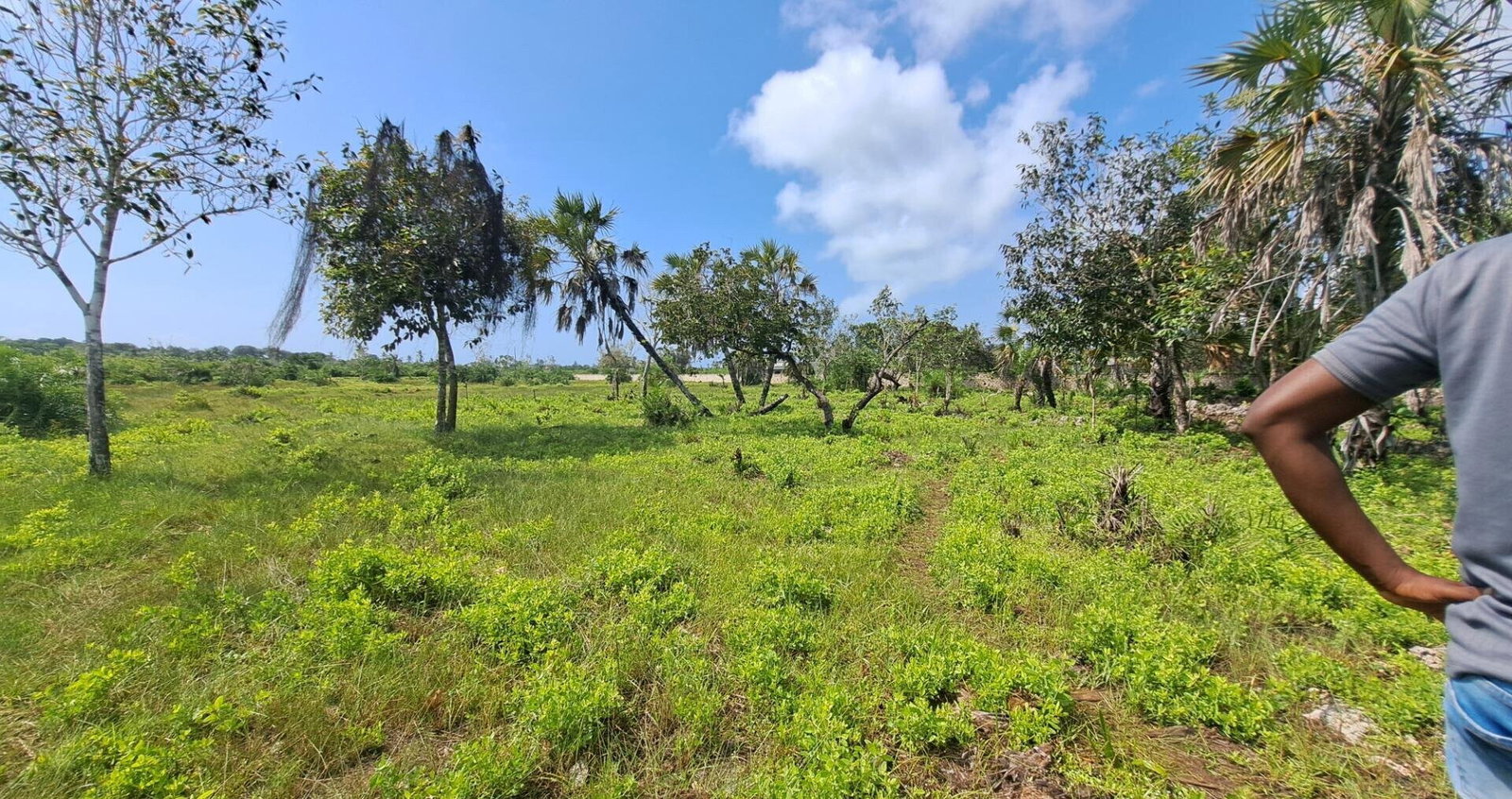 Garden Plot with Parking at KSh 1.8M