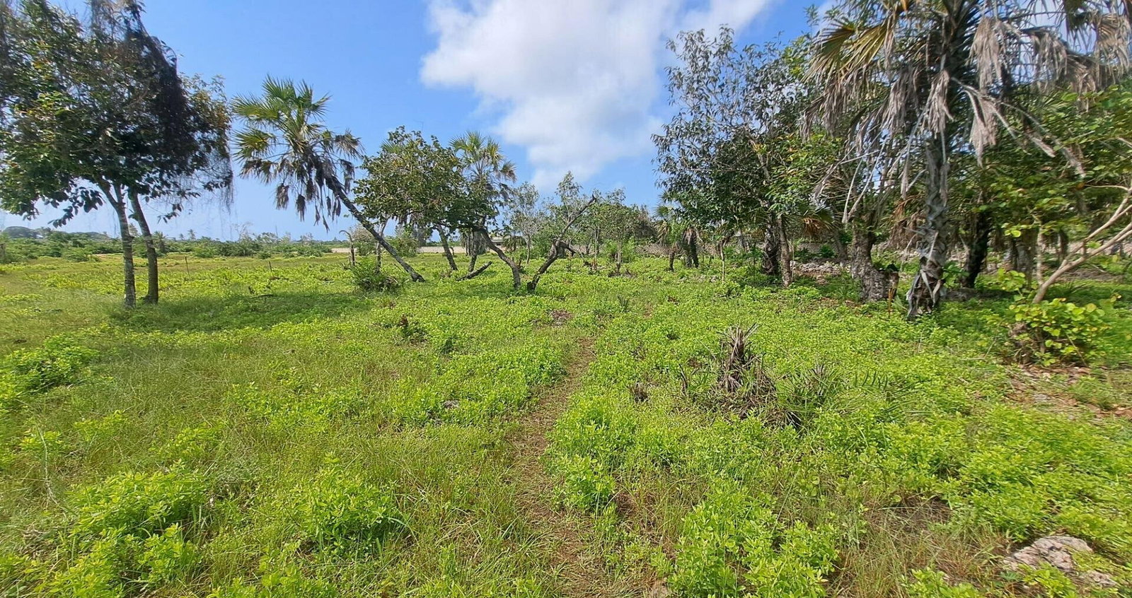 Garden Plot with Parking at KSh 1.8M