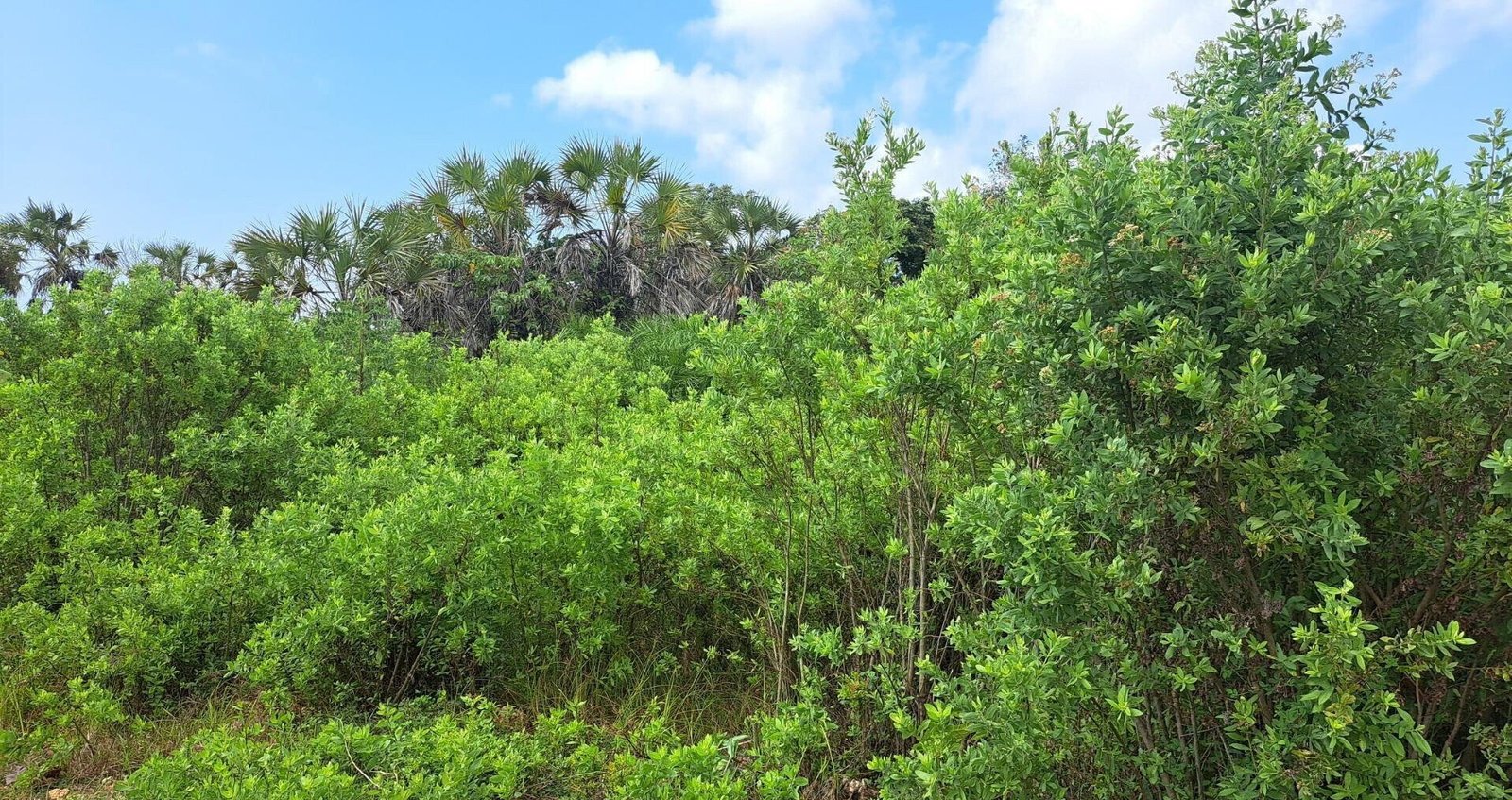 Garden Plot with Parking at KSh 1.8M
