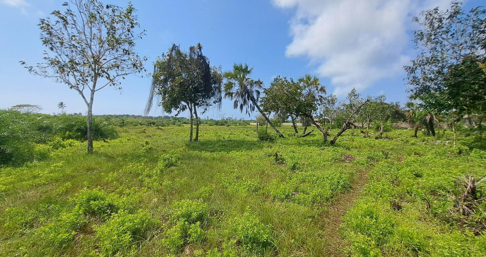 Garden Plot with Parking at KSh 1.8M