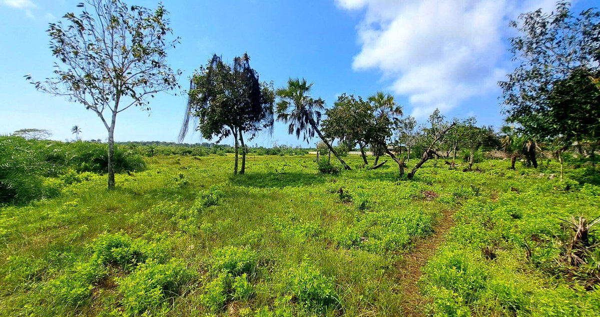 Garden Plot with Parking at KSh 1.8M
