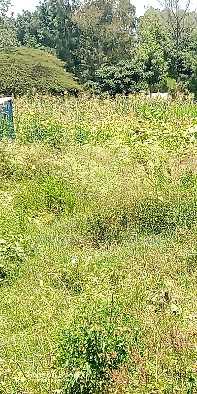 Plot for Sale in Kiserian Town - Image 8