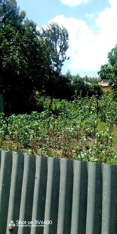 Plot for Sale in Kiserian Town - Image 5
