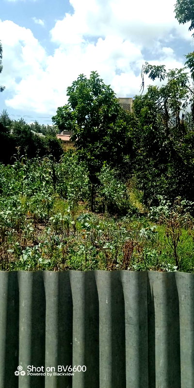 Plot for Sale in Kiserian Town - Image 6