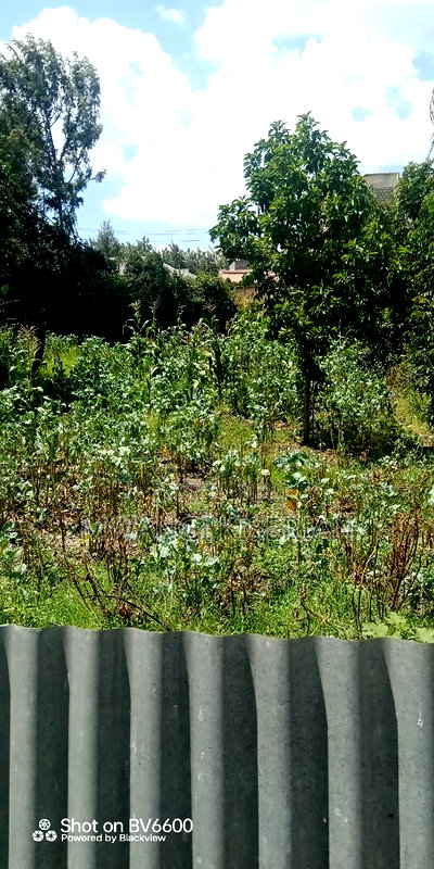 Plot for Sale in Kiserian Town - Image 3