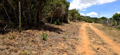 5 Acres for Sale in Mua Hills - Image 8