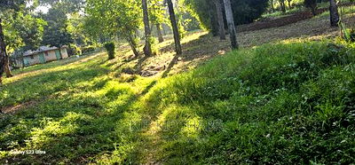 1/2 ACRE Plot for Sale in Elgonview Eldoret - Image 7