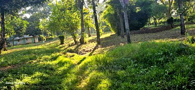 1/2 ACRE Plot for Sale in Elgonview Eldoret - Image 8