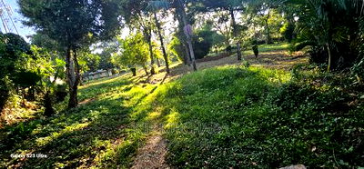 1/2 ACRE Plot for Sale in Elgonview Eldoret - Image 2