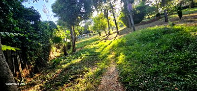 1/2 ACRE Plot for Sale in Elgonview Eldoret - Image 3