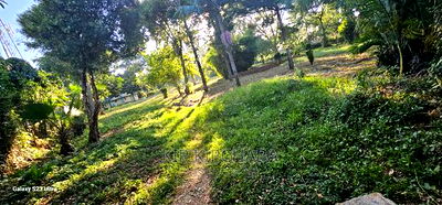 1/2 ACRE Plot for Sale in Elgonview Eldoret - Image 5