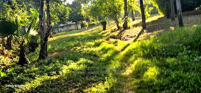 1/2 ACRE Plot for Sale in Elgonview Eldoret - Image 4