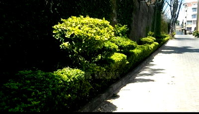 2bdrm Apartment in Pointe Apartments, Raphta Road Area for sale - Image 6