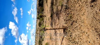 Prime 13 Acres Eiti at 1.7m Per Acre - Image 12