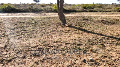 Prime 13 Acres Eiti at 1.7m Per Acre - Image 2