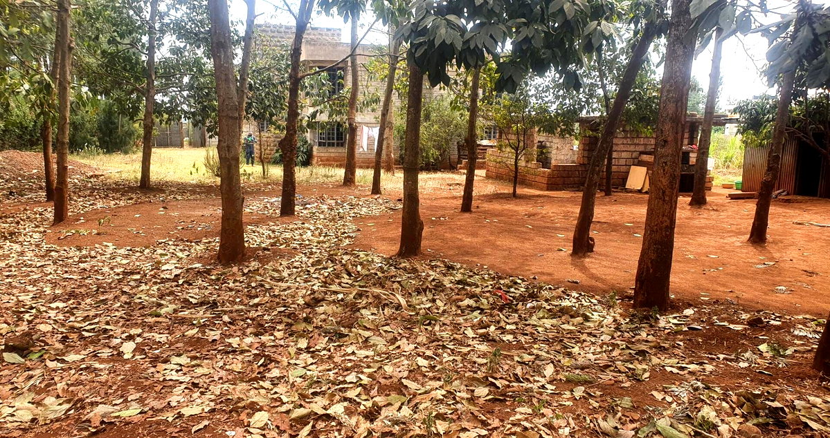 Quarter Acre in Kerarapon at KSh 15M