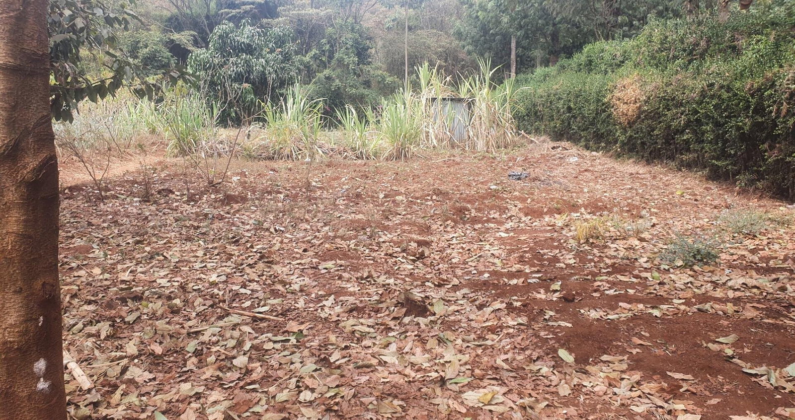 Quarter Acre in Kerarapon at KSh 15M