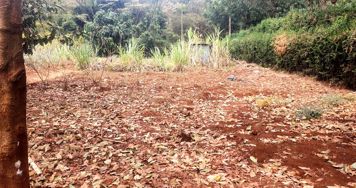 Quarter Acre in Kerarapon at KSh 15M