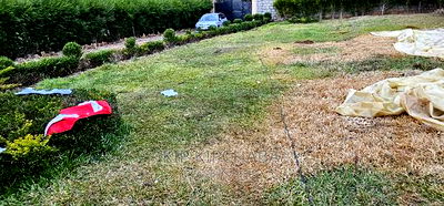 3bdrm Bungalow in Kipkorgot, Hillside for sale - Image 7