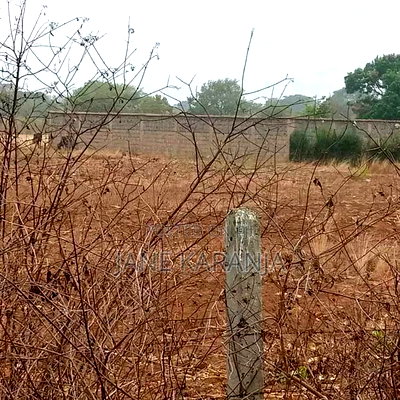 3 Prime Acres Kithimani 10m - Image 6