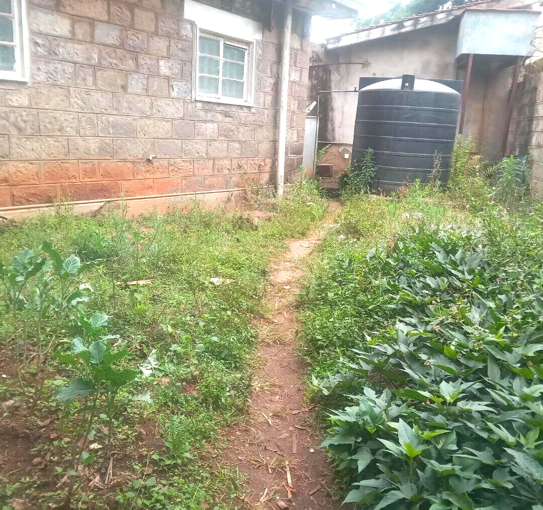 KSh 550M Westlands Gem
