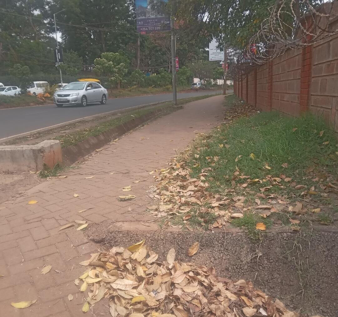 KSh 550M Westlands Gem