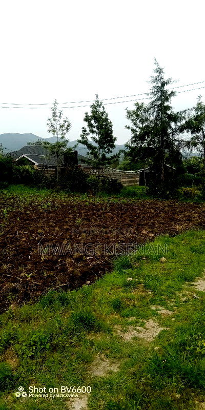 100by100 in Kiserian Gategi - Image 14