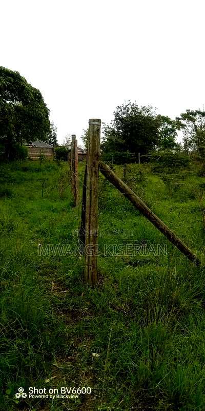 100by100 in Kiserian Gategi - Image 12