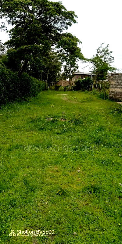100by100 in Kiserian Gategi - Image 3