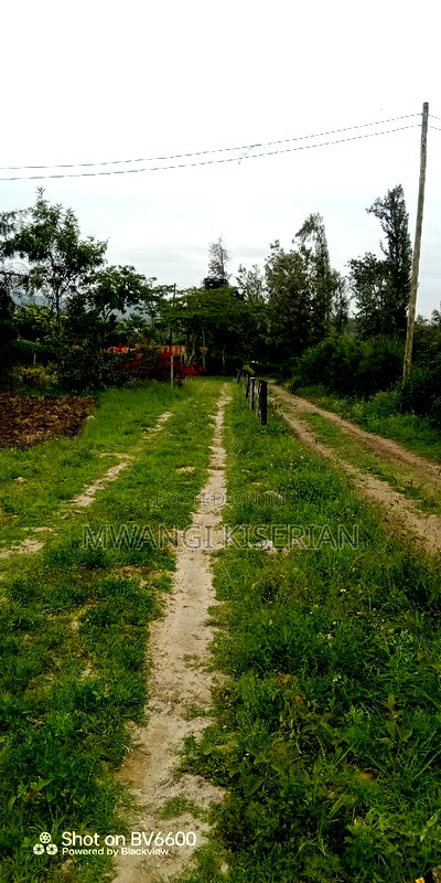 100by100 in Kiserian Gategi - Image 16