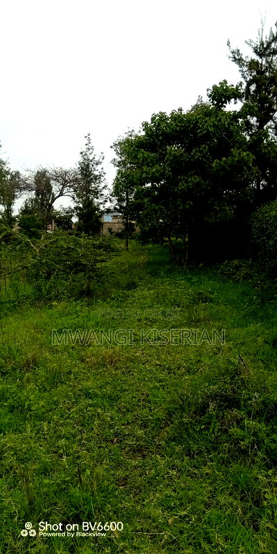 100by100 in Kiserian Gategi - Image 10