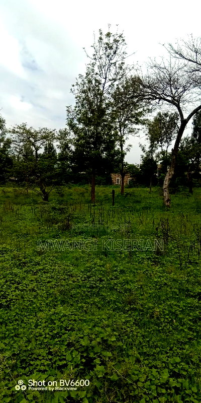 100by100 in Kiserian Gategi - Image 6