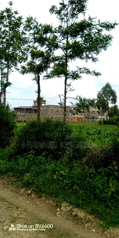 100by100 in Kiserian Gategi - Image 17