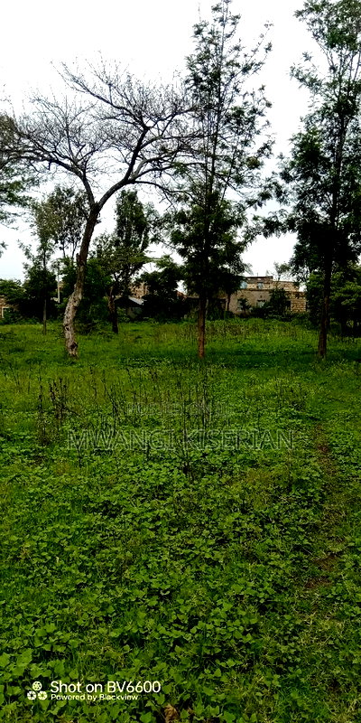 100by100 in Kiserian Gategi - Image 7