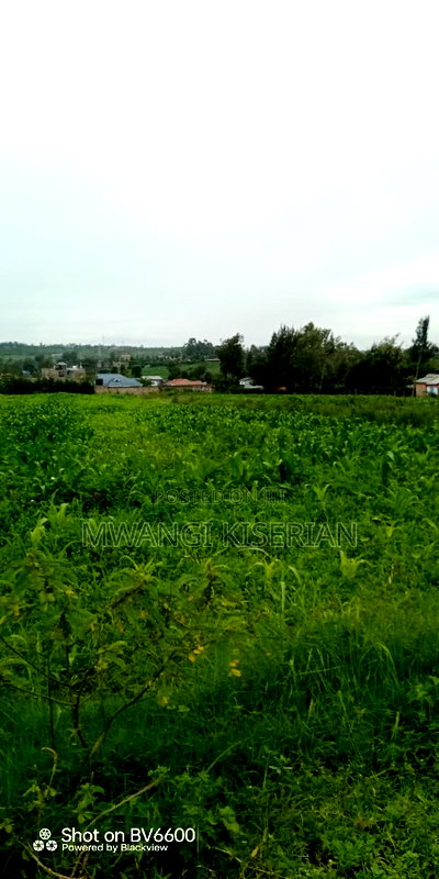 100by100 in Kiserian Gategi - Image 15