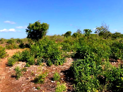 An Acre Land in Watamu - Image 4