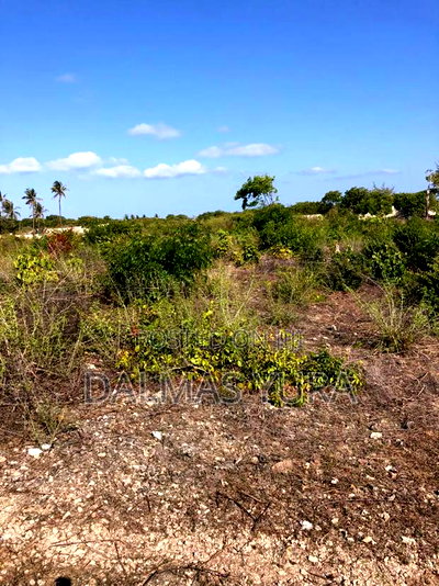 An Acre Land in Watamu - Image 6