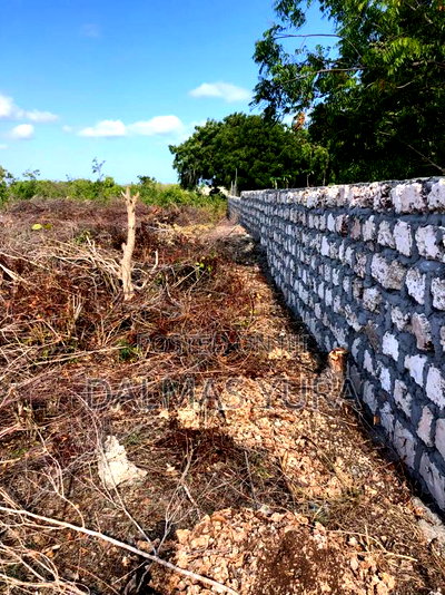 An Acre Land in Watamu - Image 5