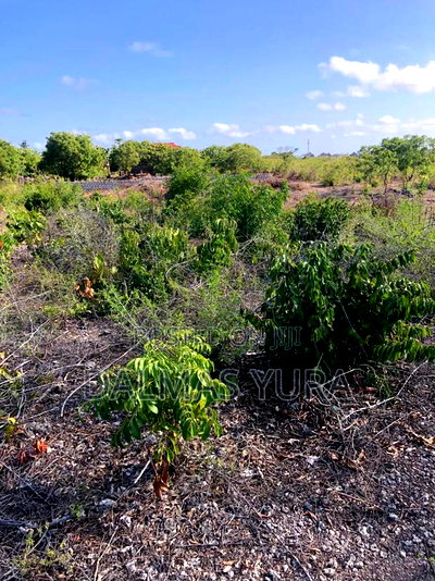An Acre Land in Watamu - Image 3