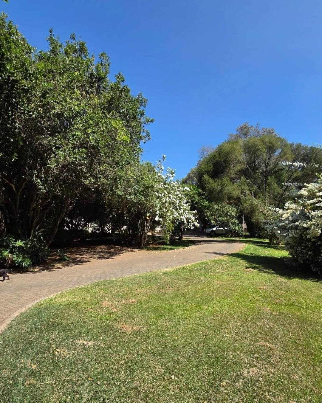 1.1-Acre Karen Plot at KSh 510M