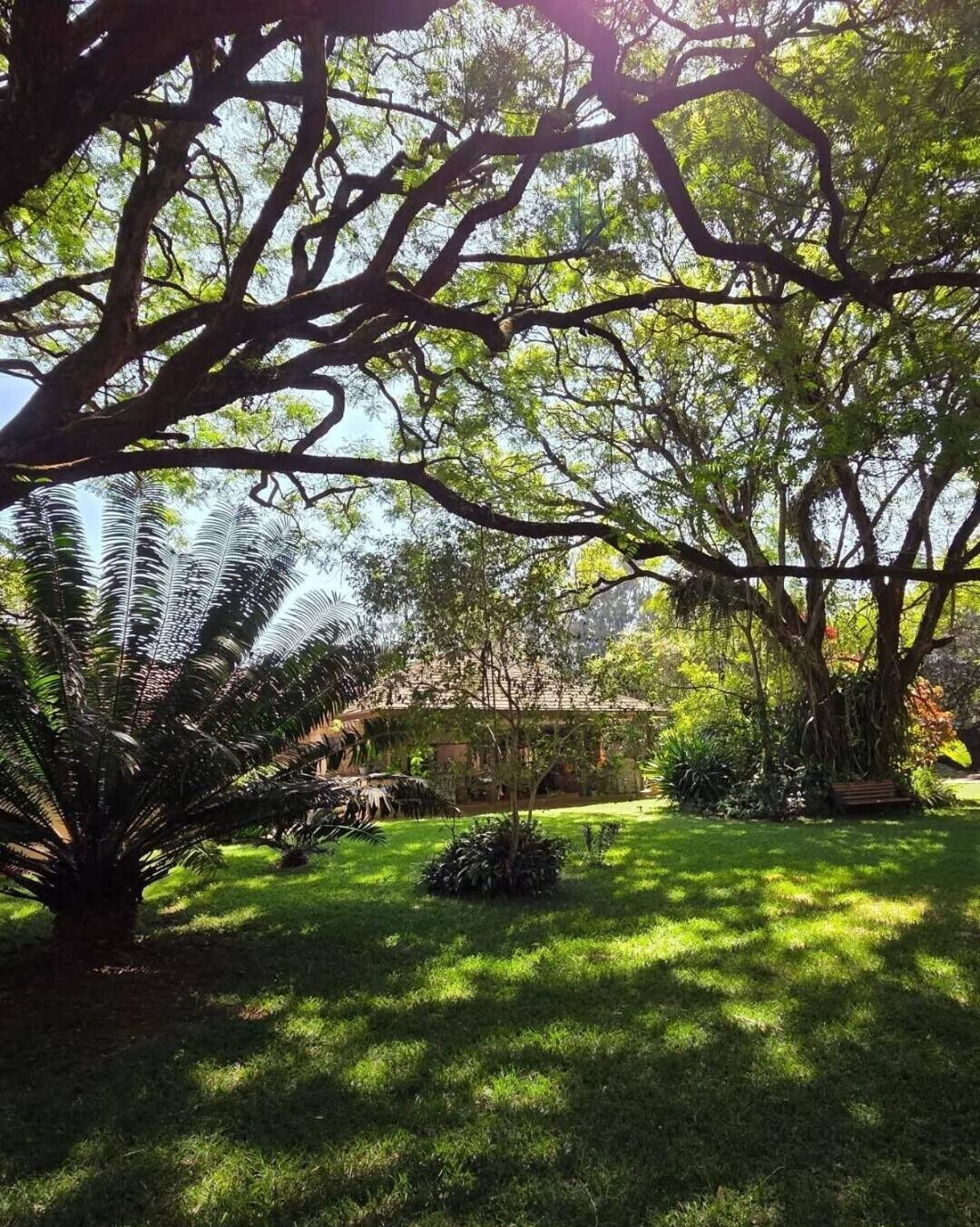 1.1-Acre Karen Plot at KSh 510M
