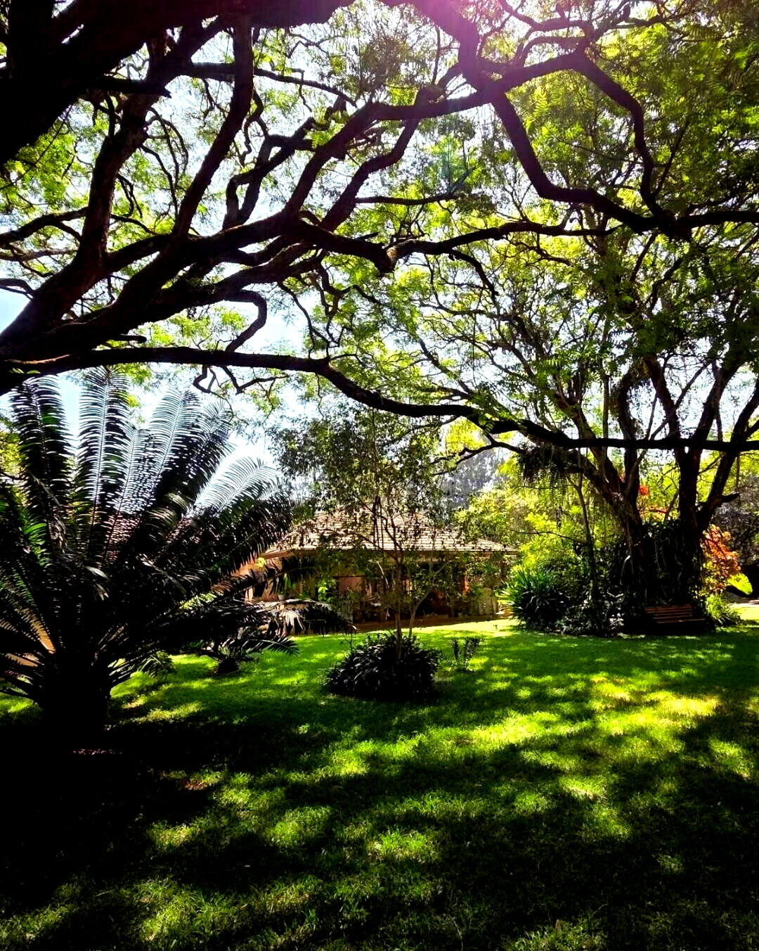 1.1-Acre Karen Plot at KSh 510M