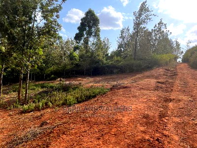 1/4 Acre Plot for Sale in Kerarapon Ngong - Image 1