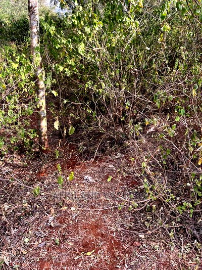 1/4 Acre Plot for Sale in Kerarapon Ngong - Image 2