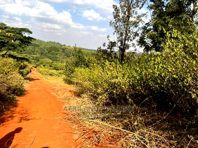 1/4 Acre Plot for Sale in Kerarapon Ngong - Image 3