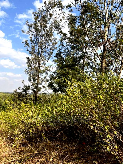 1/4 Acre Plot for Sale in Kerarapon Ngong - Image 6