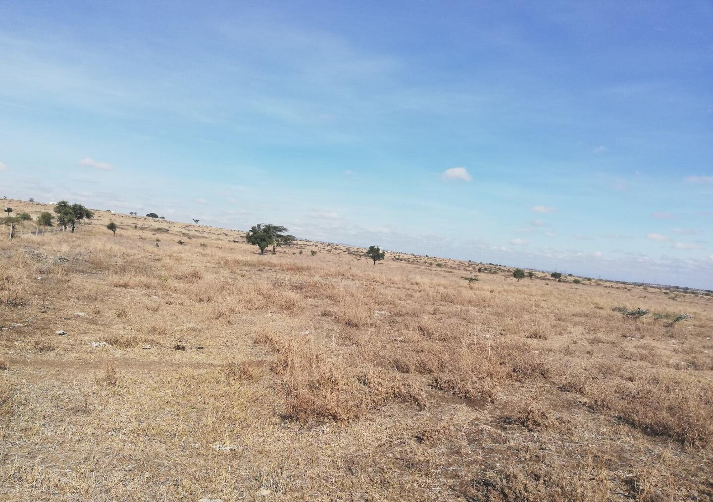 2.2-Acre Garden Land in Isinya