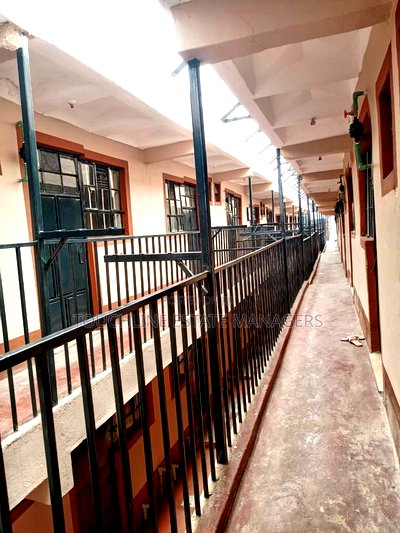 Studio Apartment in Masqani I, Riruta for rent - Image 4