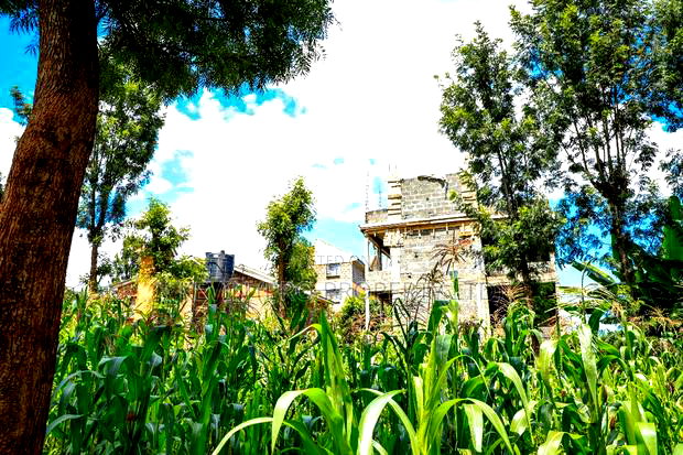 Prime Commercial Plot for Sale in Ruaka, Muchatha