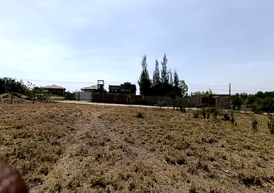 Quarter Acre Plot with Garden